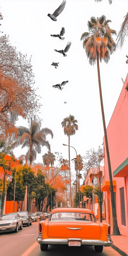 A car driving down a street with a flock of birds flying overhead wallpaper
