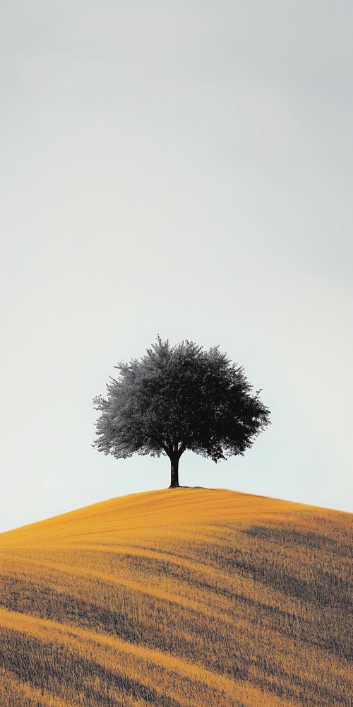 Tree on a grassy hill wallpaper