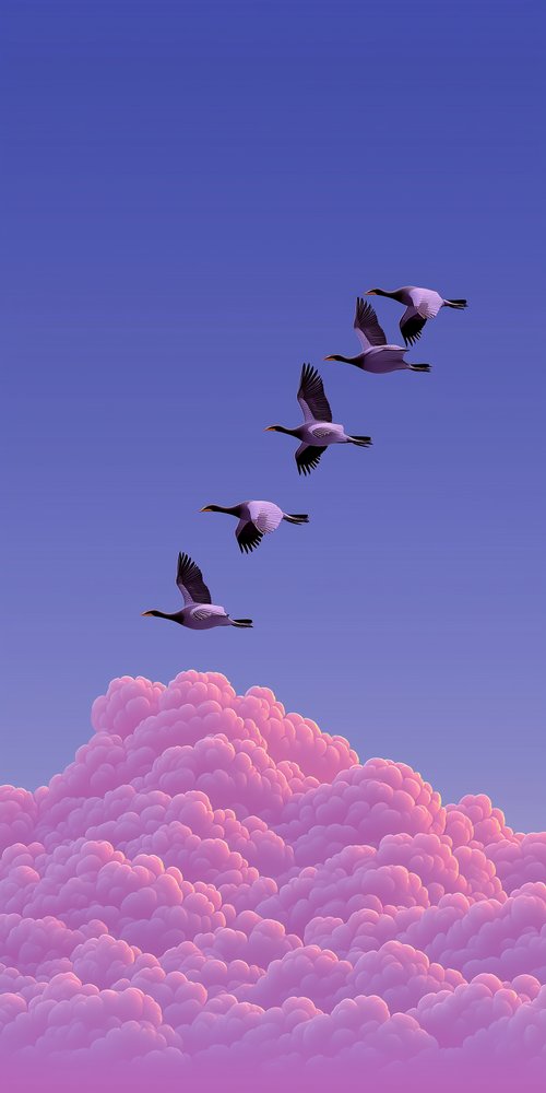 Animals wallpaper